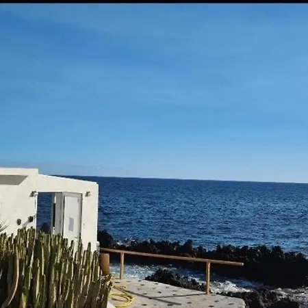 Nido De Mar *