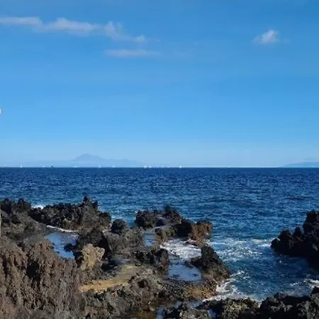 Nido De Mar