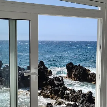 Nido De Mar